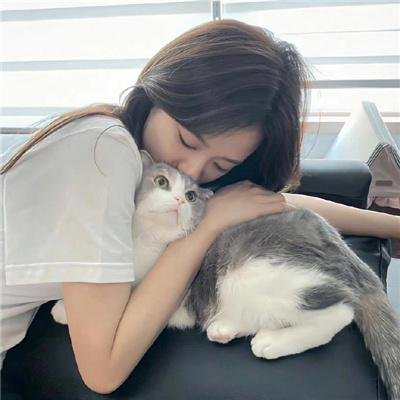 动作犯罪